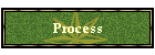 Process